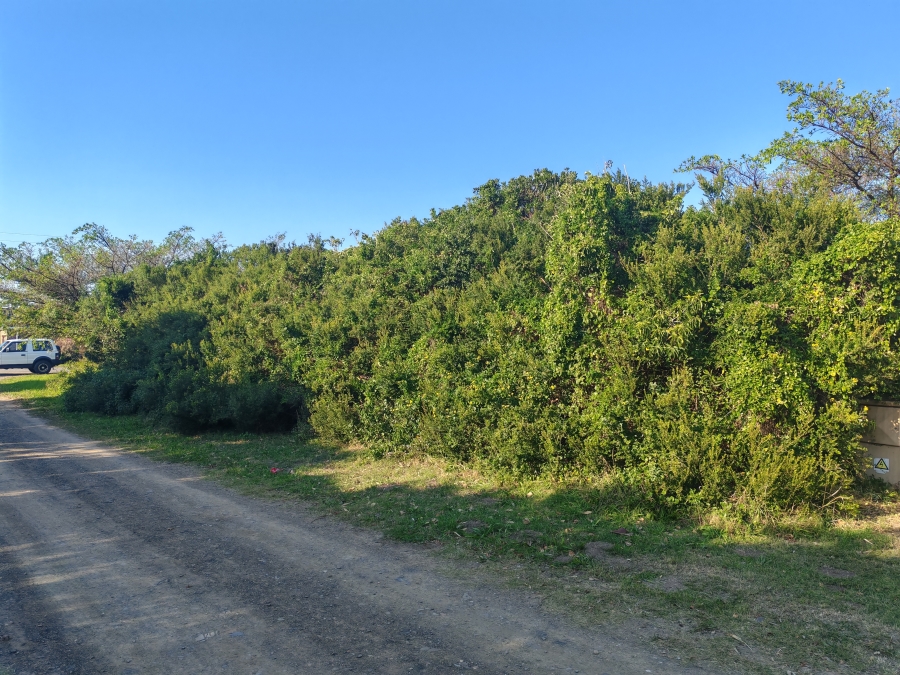 0 Bedroom Property for Sale in Boknesstrand Eastern Cape